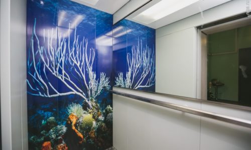 Кто и зачем придумал устанавливать в лифте зеркала?