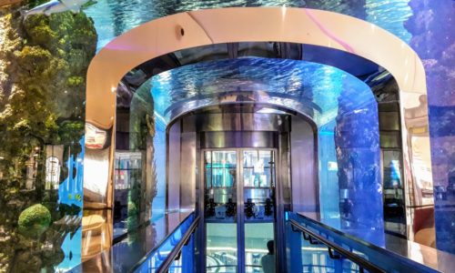 Лифтовые экскурсии в аквариуме в ТРЦ «Океания»