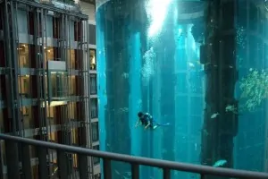 лифт для пассажиров в аквариуме